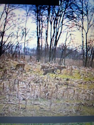 IMG_1717.jpeg